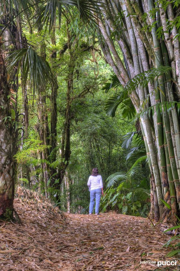 Estación Biológica Las Cruces y Jardín Botánico Wilson San Vito Exterior foto