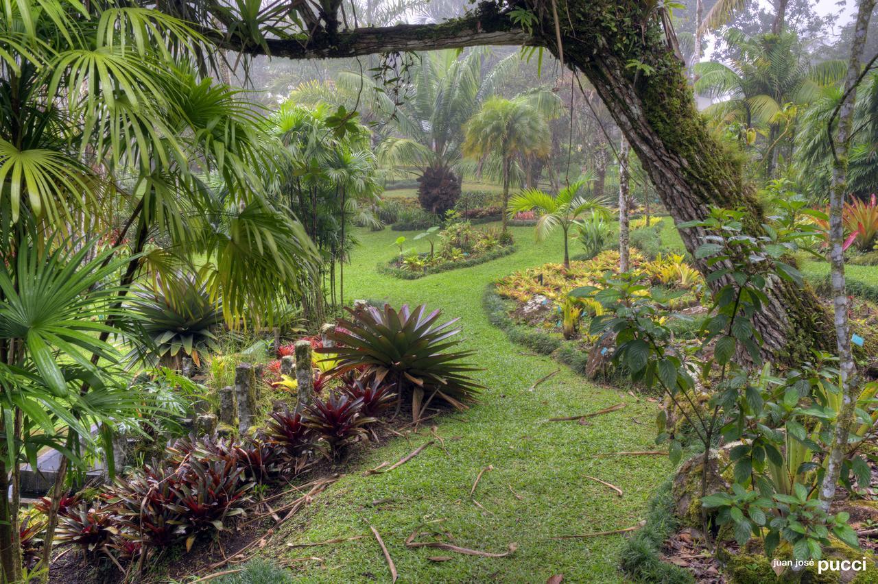 Estación Biológica Las Cruces y Jardín Botánico Wilson San Vito Exterior foto